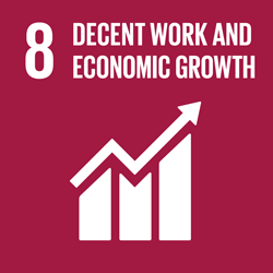 Goal 8 - Decent work and economic growth