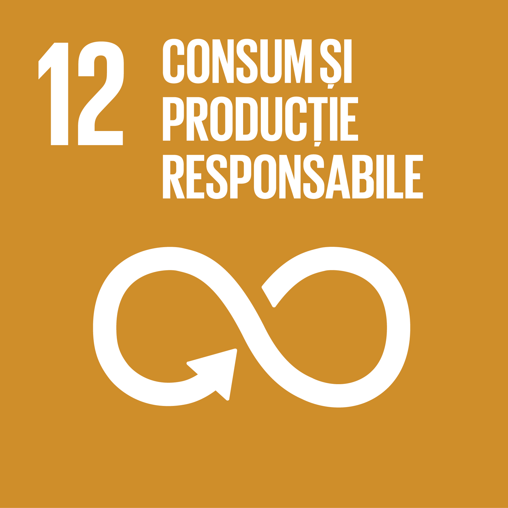 Consum și producție responsabile - Obiectiv 12