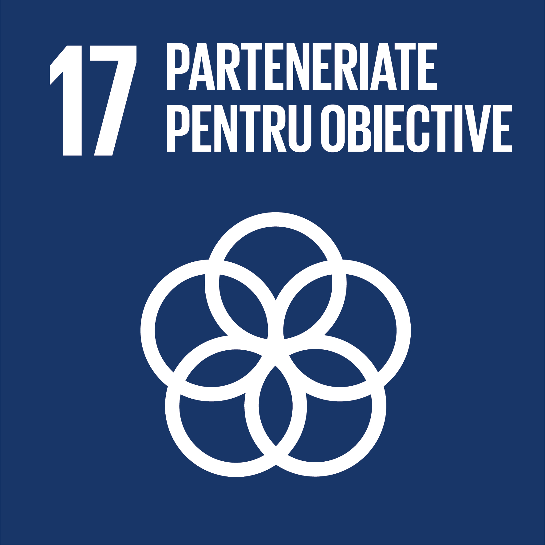 Obiectiv 17 - Parteneriate pentru obiective